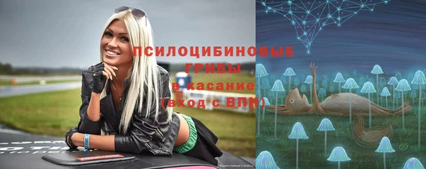 СК Богородицк