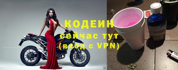 гидра Богданович
