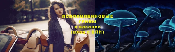 СК Богородицк