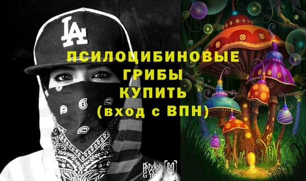 СК Богородицк