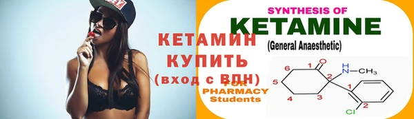 гидра Богданович