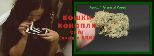 СК Богородицк