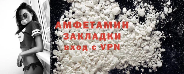 гидра Богданович