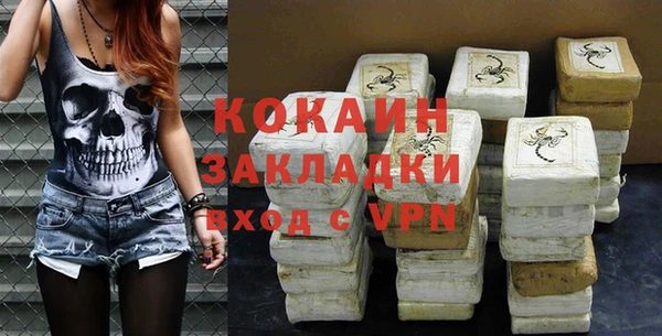 гидра Богданович