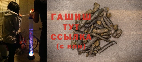 гидра Богданович