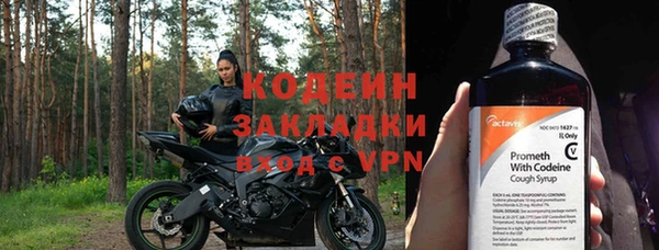 гидра Богданович