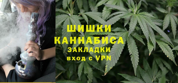 гидра Богданович