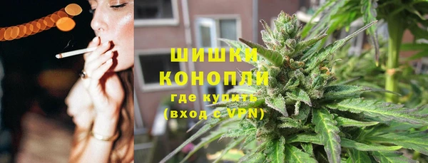 гидра Богданович