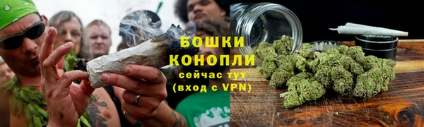 СК Богородицк
