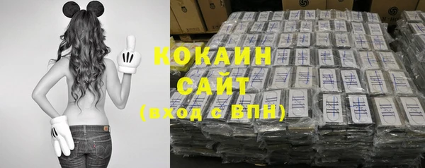 гидра Богданович