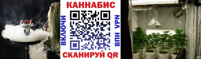 Канабис OG Kush  Краснокамск 